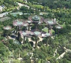 Gardens By The Bay de Singapour