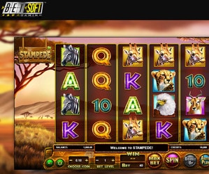 Machine à sous Stampede bientôt disponible dans les casinos Betsoft