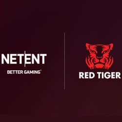 Netent affiche de bons résultats grâce aux jeux live et au rachat de Red Tiger