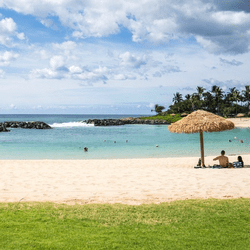 Probable ouverture de casinos à Hawaii pour renflouer les caisses de l'état