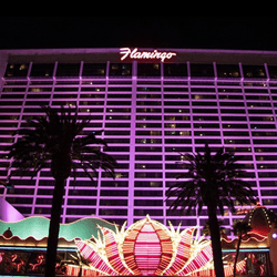 Un joueur décroche le jackpot progressif au Pai Gow Poker du Flamingo Casino de Las Vegas