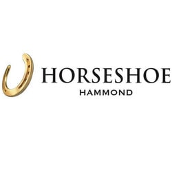 Indiana Gaming Commission inflige une forte amende au casino Horseshoe Hammond pour avoir laisse un mineur jouer