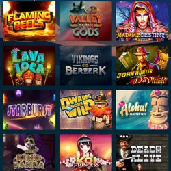 Large choix de jeux de machines a sous en ligne sur PrinceAli Casino