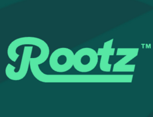 Stakelogic entre en Ontario via un accord avec Rootz